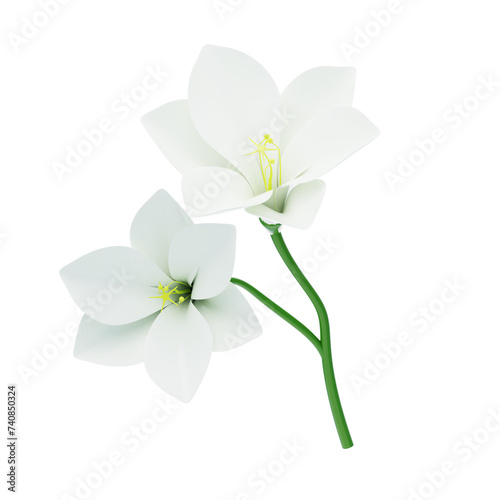3D Freesia Flower With Two Blossoms. 3d illustration, 3d element, 3d rendering. 3d visualization isolated on a transparent background © Ujung