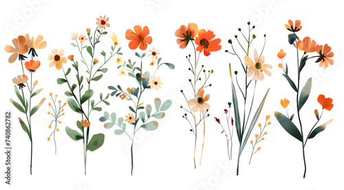 flowers set  bouquet illustration for designer