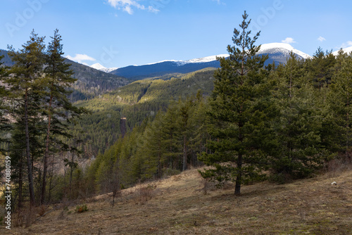 Forest in the mountains. Horizontal shot of a snowy peak high in the mountains. A pure natural landscape in a natural environment.