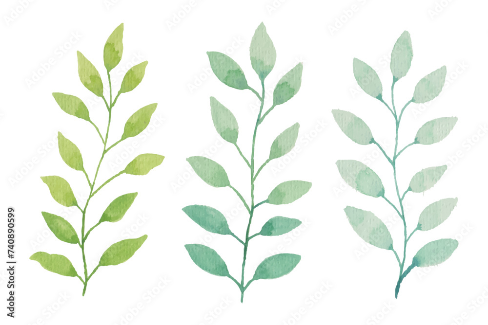 Set of watercolor leaves and branches, Hand drawn watercolor illustration elements for wedding stationary, greetings, wallpapers, fashion, background Set of watercolor leaves and branches, Hand drawn watercolor illustration elements for wedding stationary, greetings, wallpapers, fashion, background