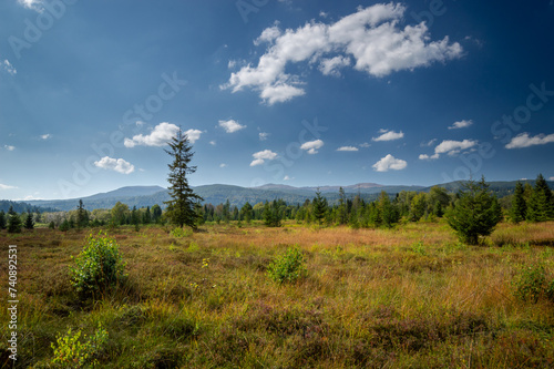Mountain panorama at Tarnawa Peat Bog. Peatland bog habitat in mountains, Tarnawa Wyzna, Bieszczady, Bieszczady National Park, Outer Eastern Carpathians, Poland