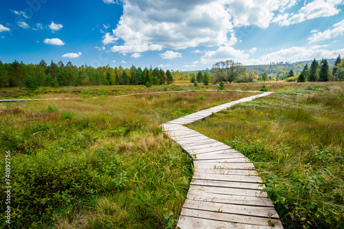 Fototapeta Naklejka Na Ścianę i Meble -  Tarnawa peat bog. Boardwalk across peatland bog habitat, Tarnawa Wyzna, Bieszczady, Outer Eastern Carpathians, Poland, sunny day, beautiful landscape