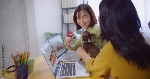 A focused professional asian business woman analyzes data on a laptop with a Chihuahua beside her and discuss with colleague in a vibrant office workspace