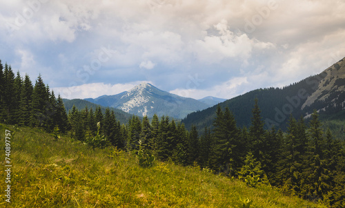 View of the mountain peak of the Carpathian Mountains with wild green vegetation. Background summer spruce forest in the Carpathian mountains.