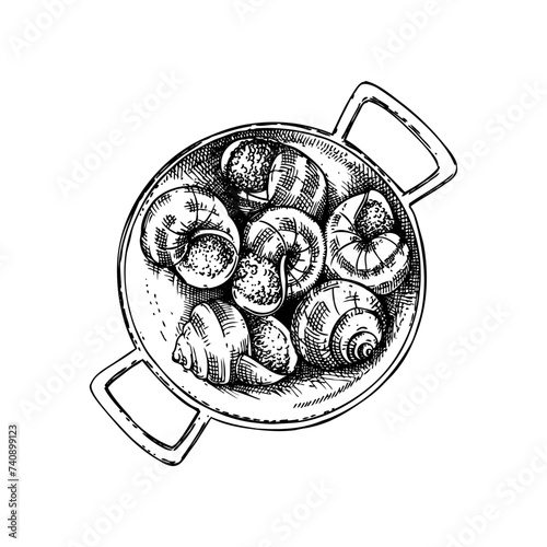 Escargot vintage drawing. Traditional food from France sketch. French restaurant menu design. Edible snails  Hand-drawn food illustration, NOT AI generated