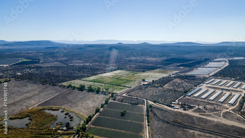 dron view de viñedo 