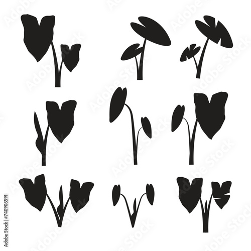 taro leaf silhouette design vector photo