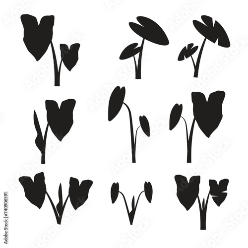 taro leaf silhouette design vector