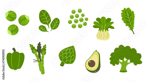 Illustration of green vegetables: broccoli, asparagus, avocado, cauliflower, spinach. Healthy food and vegetarian diet concept. Design for recipe book, menu, poster, educational material