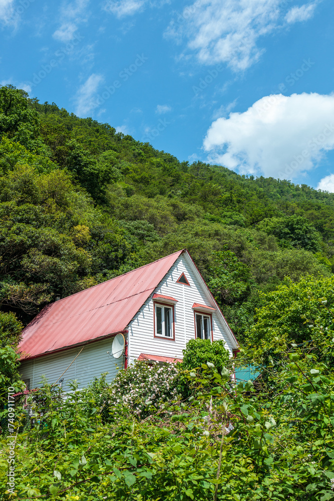 a house with a red roof in the mountains among the trees, a satellite dish on the house, clear weather