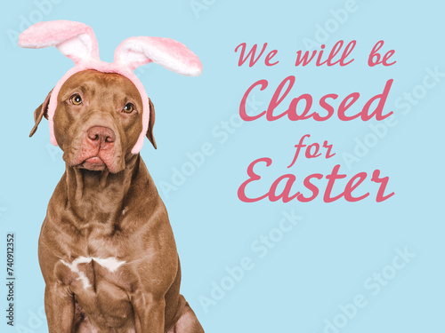 We will be closed for Easter. Signboard. Lovable, pretty dog. Closeup, studio shot, indoors. Day light. Congratulations for family, loved ones, relatives, friends and colleagues. Pets care concept