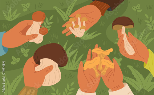 Human hand holding edible fungus top view over green forest grass