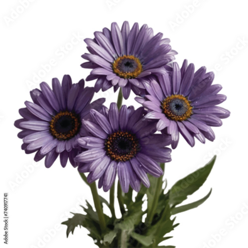 bouquet of purple color flowers isolated on white 