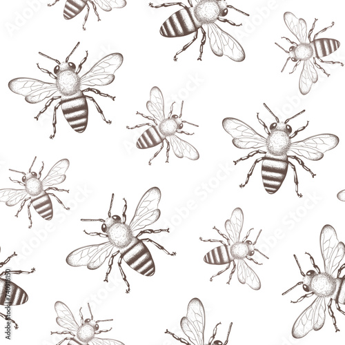 Bee, honey bee seamless pattern, background. Naturalistic, scientific, botanical engraved illustration, vector drawing