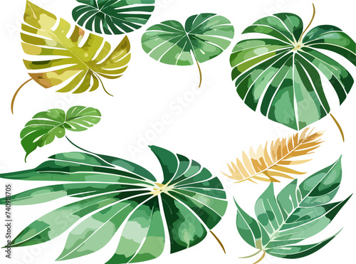Exotic flora and vegetation of rainforests and jungles, isolated tropical leaves. Set of banana and palmetto, palm and monstera branches. Botany and decoration in realistic 3d cartoon vector