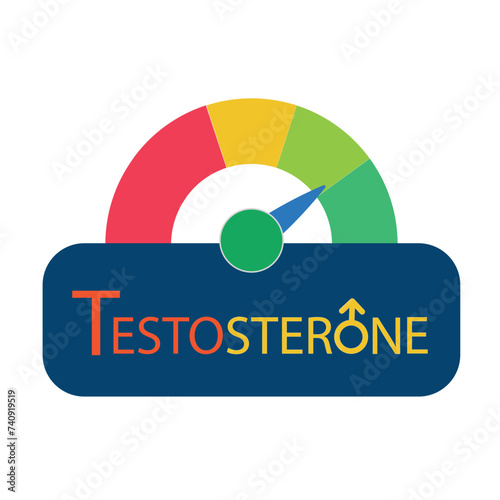 Testosterone Level Meter, measuring scale. Hormone Testosterone speedometer indicator. Vector stock illustration