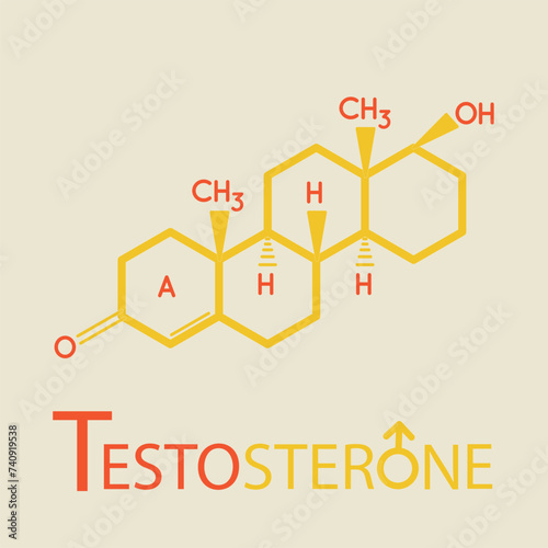 Testosterone formula. Vector thin line icon of testosterone molecular structure