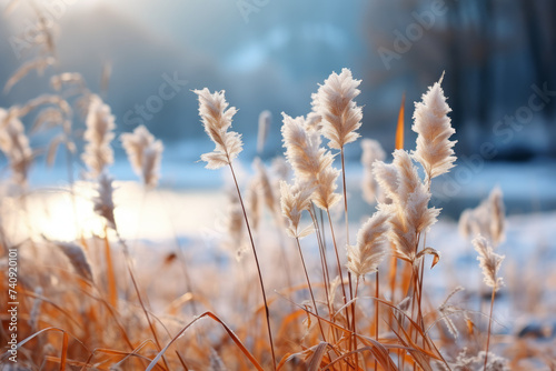 Winter atmospheric landscape with frost-covered dry plants during snowfall. Winter Christmas background. Generative Ai