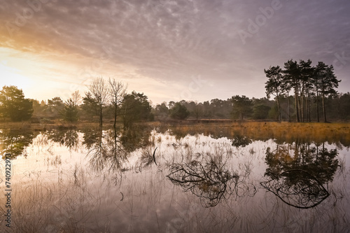 Opgaande zon over de heide van Den Treek photo