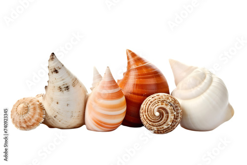 Llittle sea shells