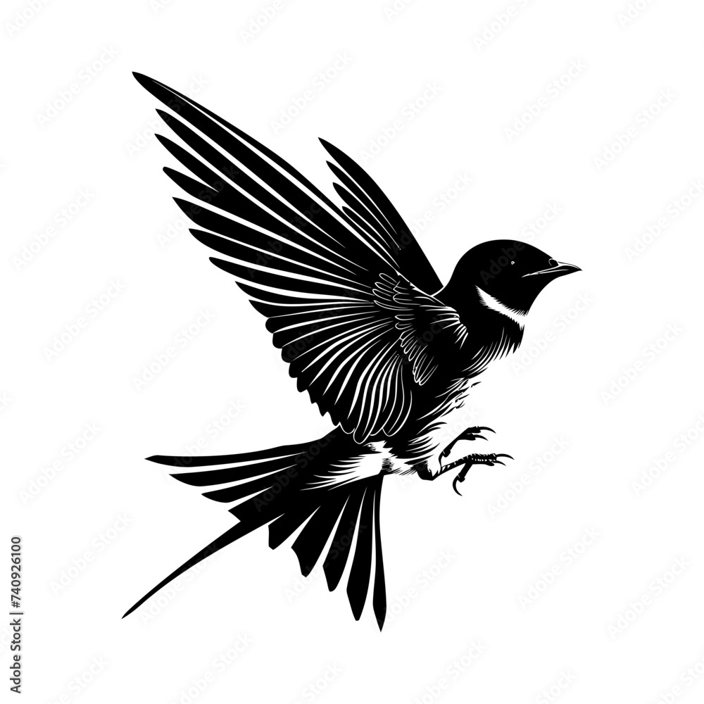 Obraz premium Silhouette swallow bird flaying black color only full body