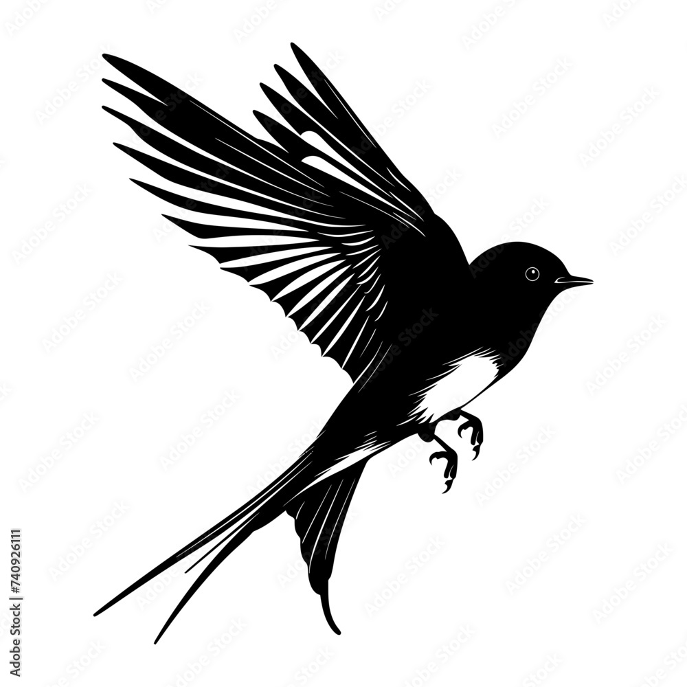 Obraz premium Silhouette swallow bird flaying black color only full body