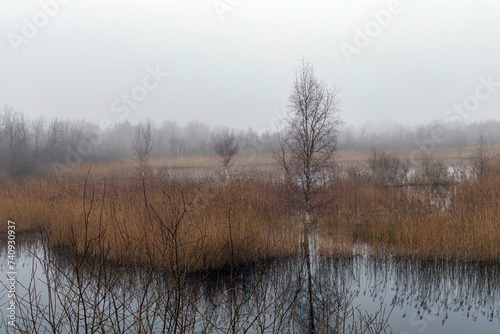 A lake in a field with trees, creating a picturesque natural landscape