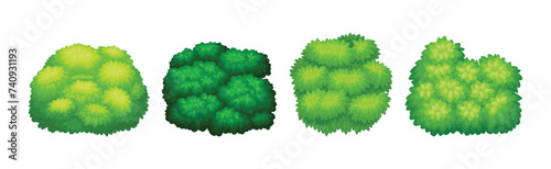 Green Bush of Different Shape as Park Element Vector Set