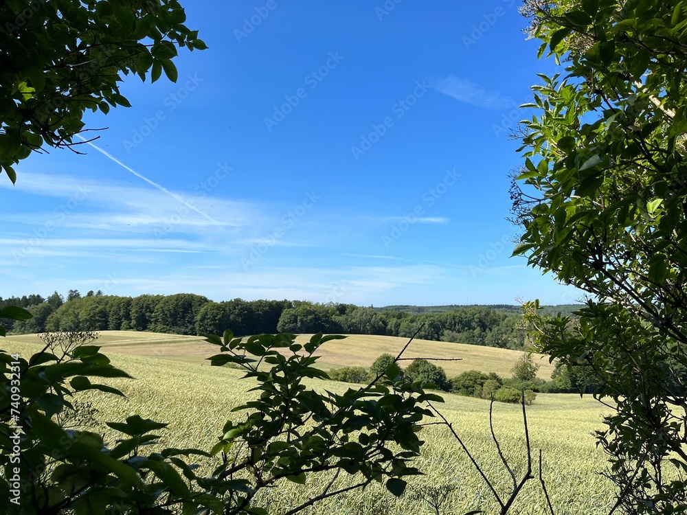 Naklejka premium field and blue sky
