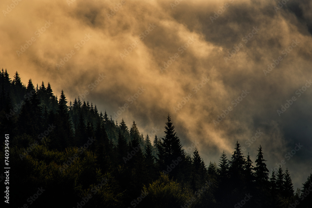 Incredibly beautiful sunrise in the mountains. Coniferous trees in the fog and the rays of the sun through the foggy forest.

