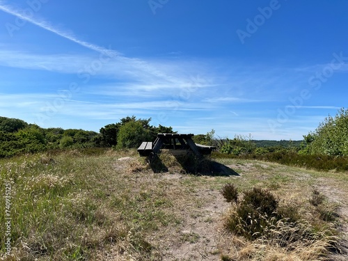 wooden bench in the forest