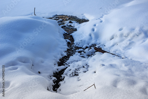 A spring flowing from an iron pipe near a snow-covered river in winter