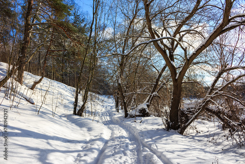 Pedestrian path going through a snowy area in nature © PhotoChur