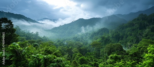 A natural landscape with lush green forests, surrounded by towering mountains against a cloudy sky backdrop