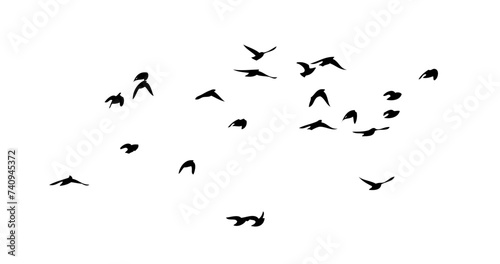 Flying birds silhouette flock. hand drawing. Not AI, Vector illustration © Мария Неноглядова