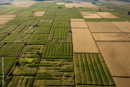 An aerial view reveals the patchwork beauty of rectangular agricultural plots in varying shades of green and gold photo