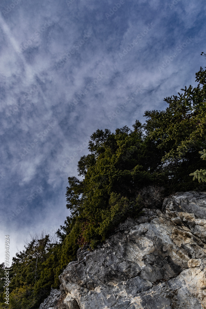 immagine con inquadratura verticale, che mostra per metà un cielo parzialmente nuvoloso, visto dal basso verso l'alto, direttamente da sotto la parete rocciosa di una montagna e coperta da alberi