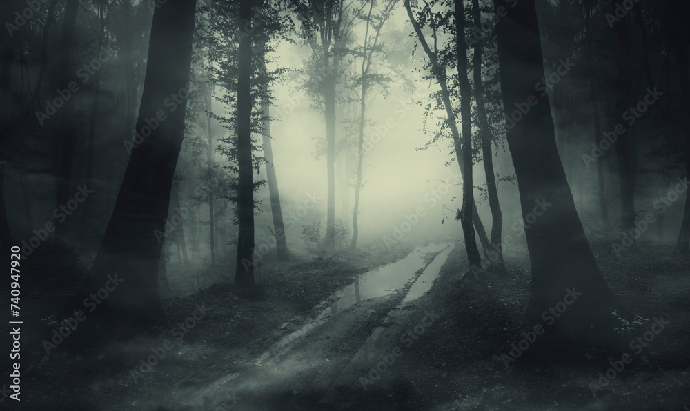 Naklejka premium road in dark mysterious woods in fog