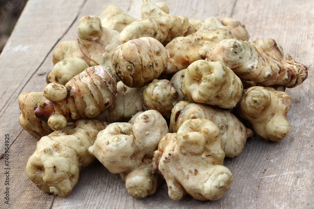 Collected Jerusalem artichoke tubers