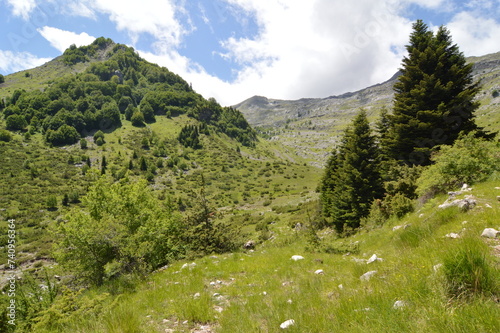 mountain landscape in the mountains