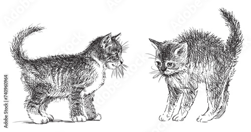 Sketch of two funny little domestic kittens, black and white vector hand drawing isolated on white