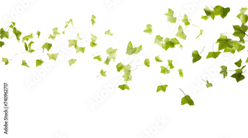 Swirl of green leaves on the wind on the transparent background
