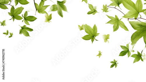 Falling green leaves on a transparent background