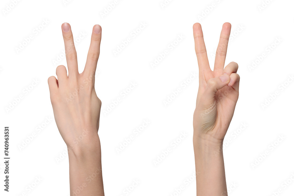 Two sides of female hands showing a V-sign by sticking up first two fingers in a V shape, as a sign of victory, isolated on transparent background, png file