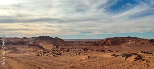 The expansive sandy desert, featuring solitary vegetation on arid terrain, and a stunning array of rocks shaped by nature during the sunset in Timimoun, the petite Tassili in Algeria.