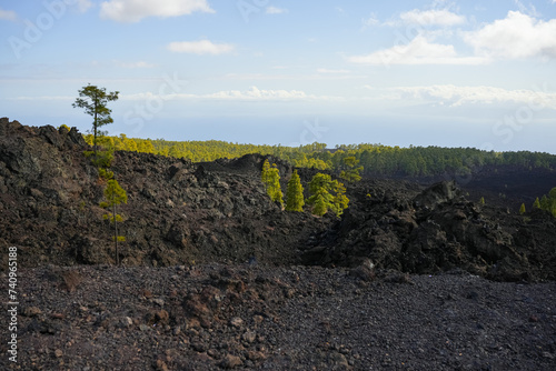 Specific landscapes from El Teide National Park Tenerife Canary Islands Spain © RetoricMedia