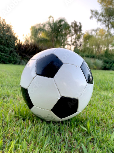 Pelota de fútbol descansa sobre el césped verde de un parque. Al fondo se ven algunos árboles. La pelota está esperando que alguien la patee y empiece un partido divertido. © Tomas