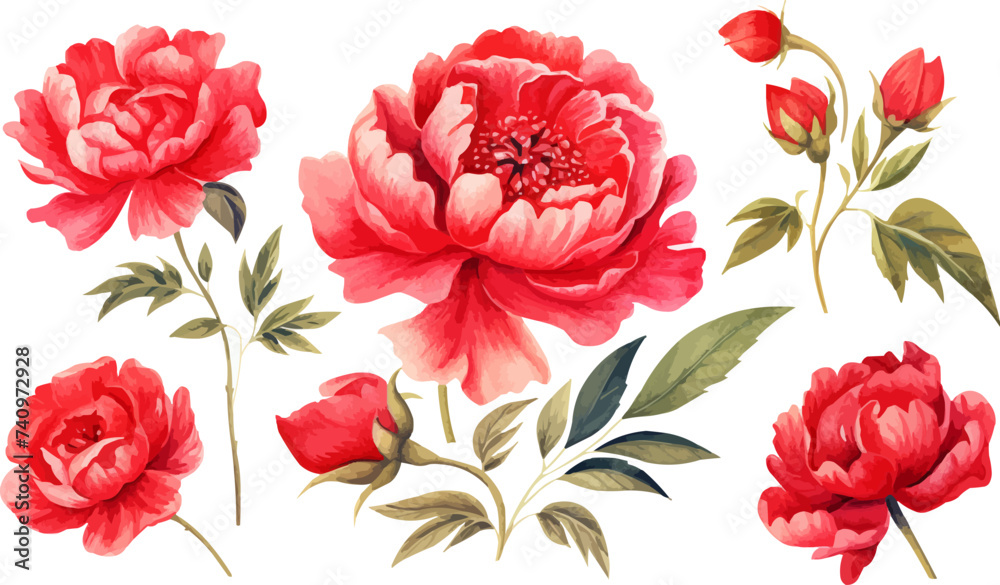 custom made wallpaper toronto digitalWatercolor red peony clipart for graphic resources -