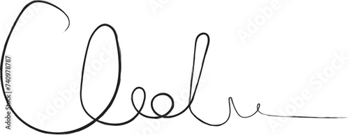 fake signature, fictitious autograph,handwritten sign, for digital business papers