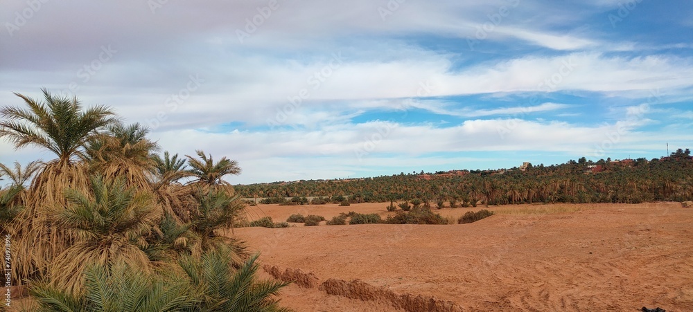 A sweeping panorama captures the oasis nestled in the midst of fine sandy desert, with agricultural fields stretching at the base of palm trees beneath a partly cloudy blue sky in Timimoun, Algeria.